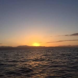 Meet your Posher, Ken